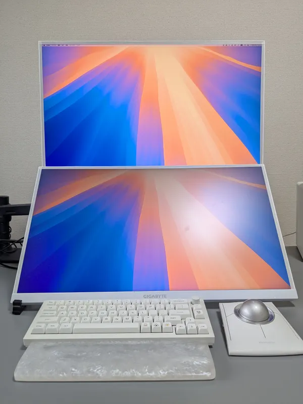 デュアルディスプレイで使用